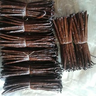 Vanille bourbon 18cm