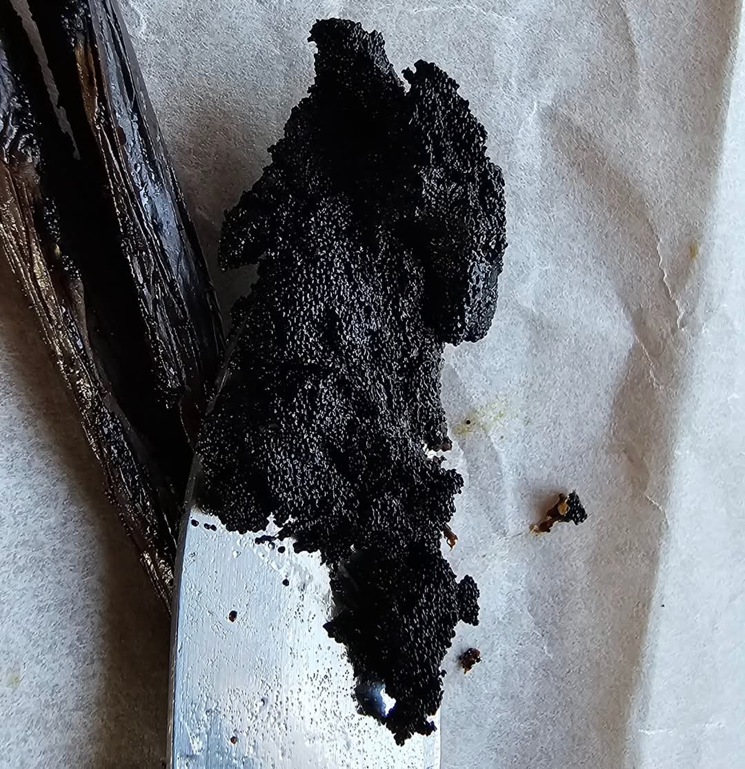 Tube artisanale en bambou et 5 gousses de Vanille de Madagascar 16-18cm /Collection VAVASAHA – Image 4