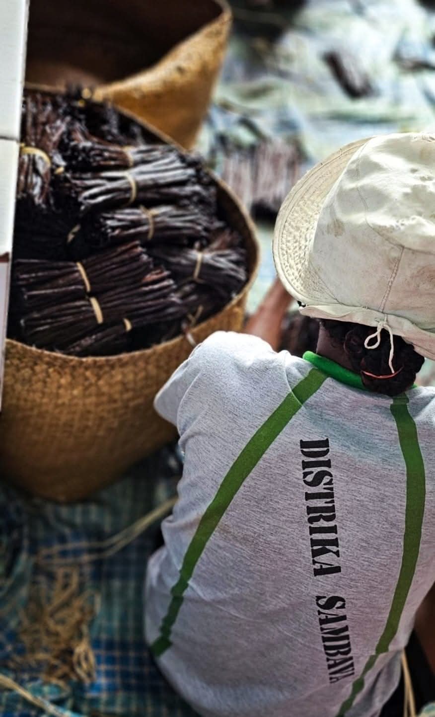 Tube artisanale en bambou et 5 gousses de Vanille de Madagascar 16-18cm /Collection VAVASAHA – Image 9