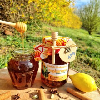 1kg de Miel de Mokarana et une cuillère/ miel du Sud-est de Madagascar