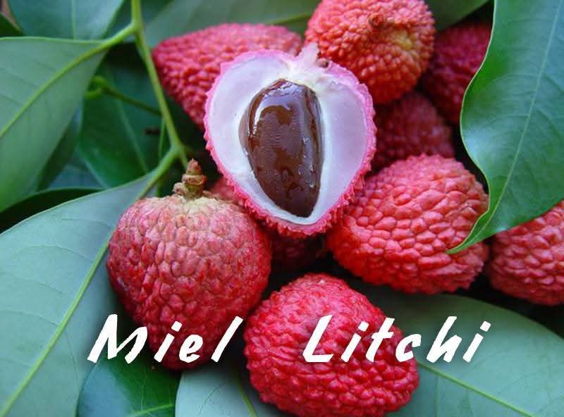 900gr de Miel de Litchi en BOCAL MAGIQUE/ Miel de Sud-est de Madagascar – Image 5